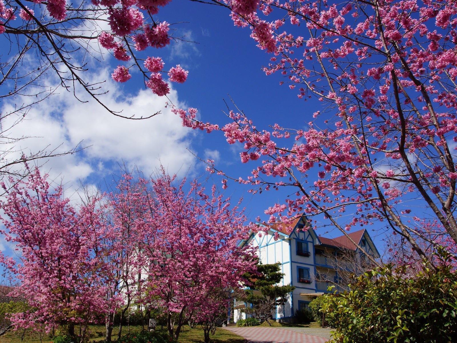 清境 百里莊園 Baili Manor Cing Jing Appartement Renai Buitenkant foto